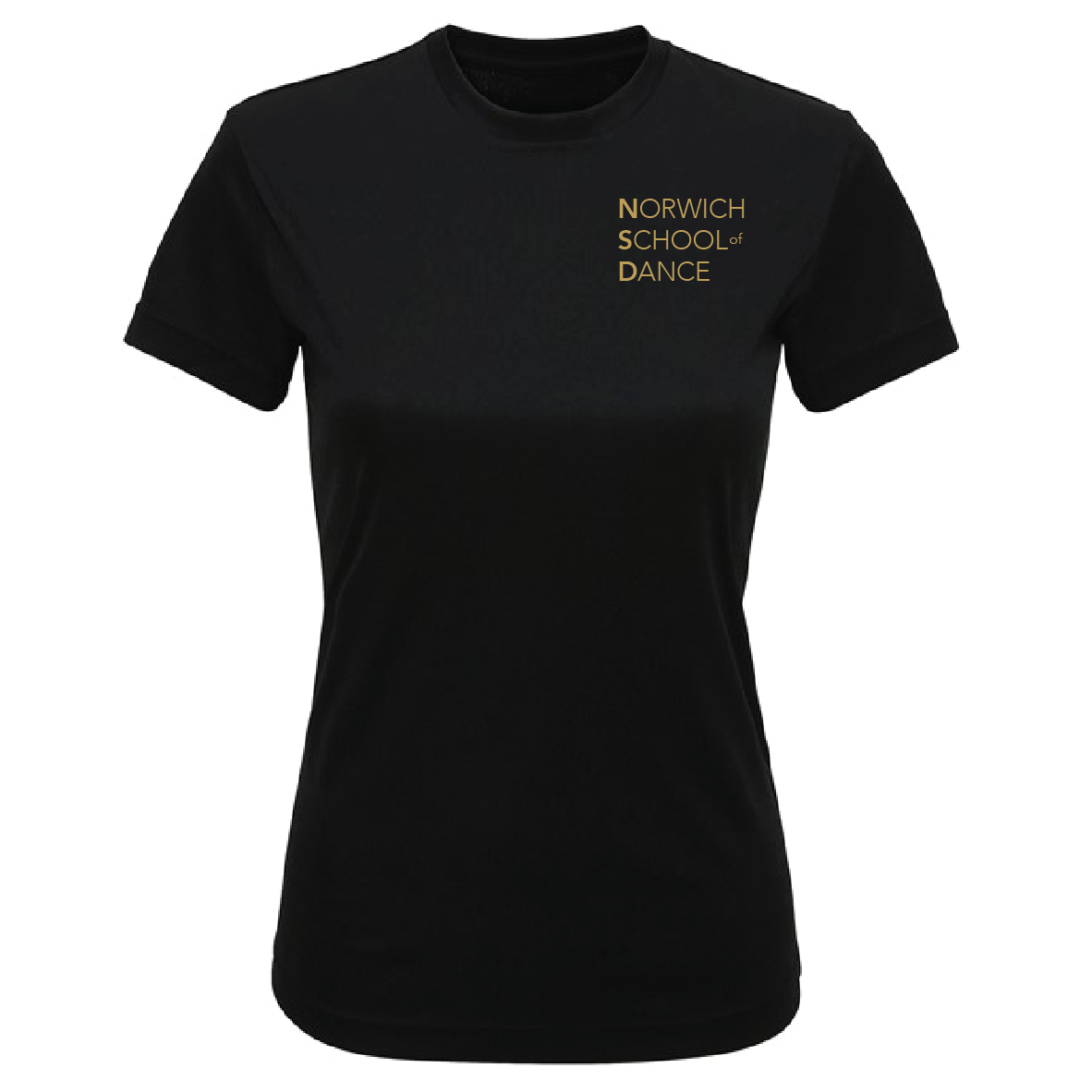 Norwich School of Dance: Senior / Adult Student Women's Fitted T-Shirt