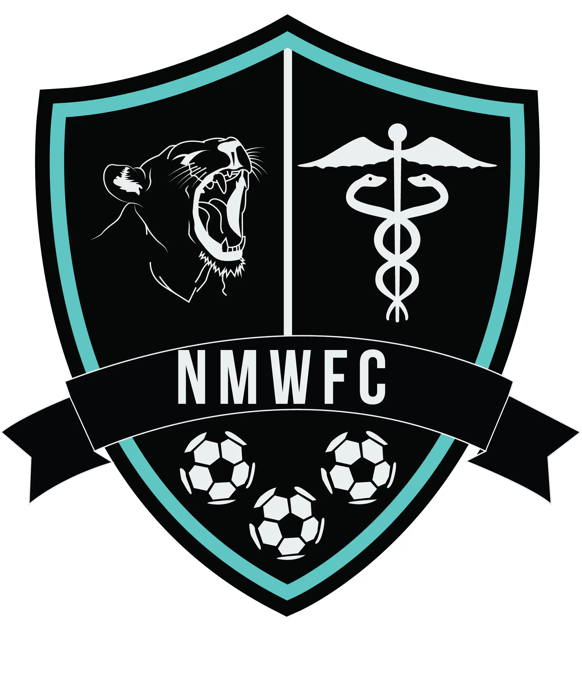 Norwich Medics Womens Football Club