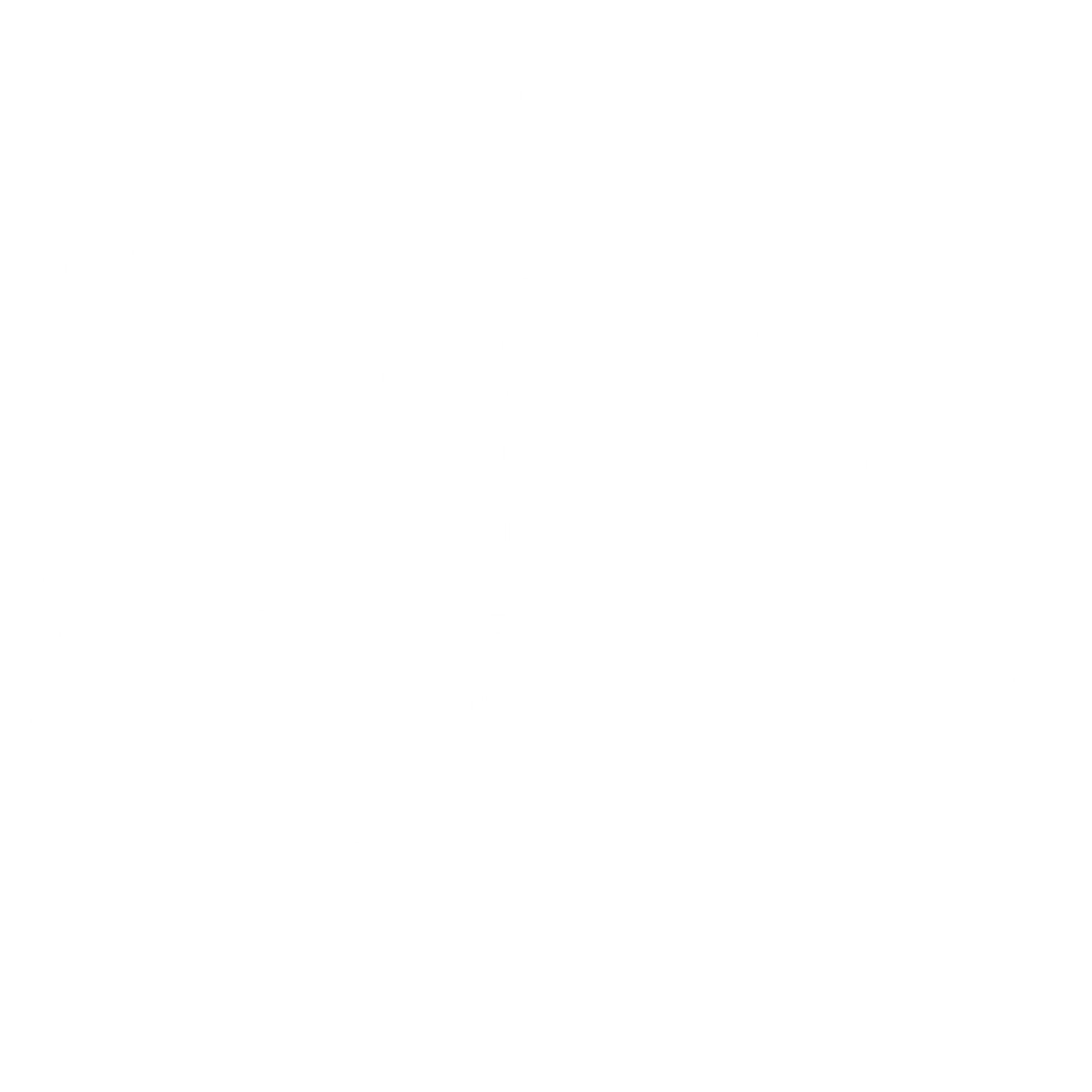 Norwich School Cricket Logo