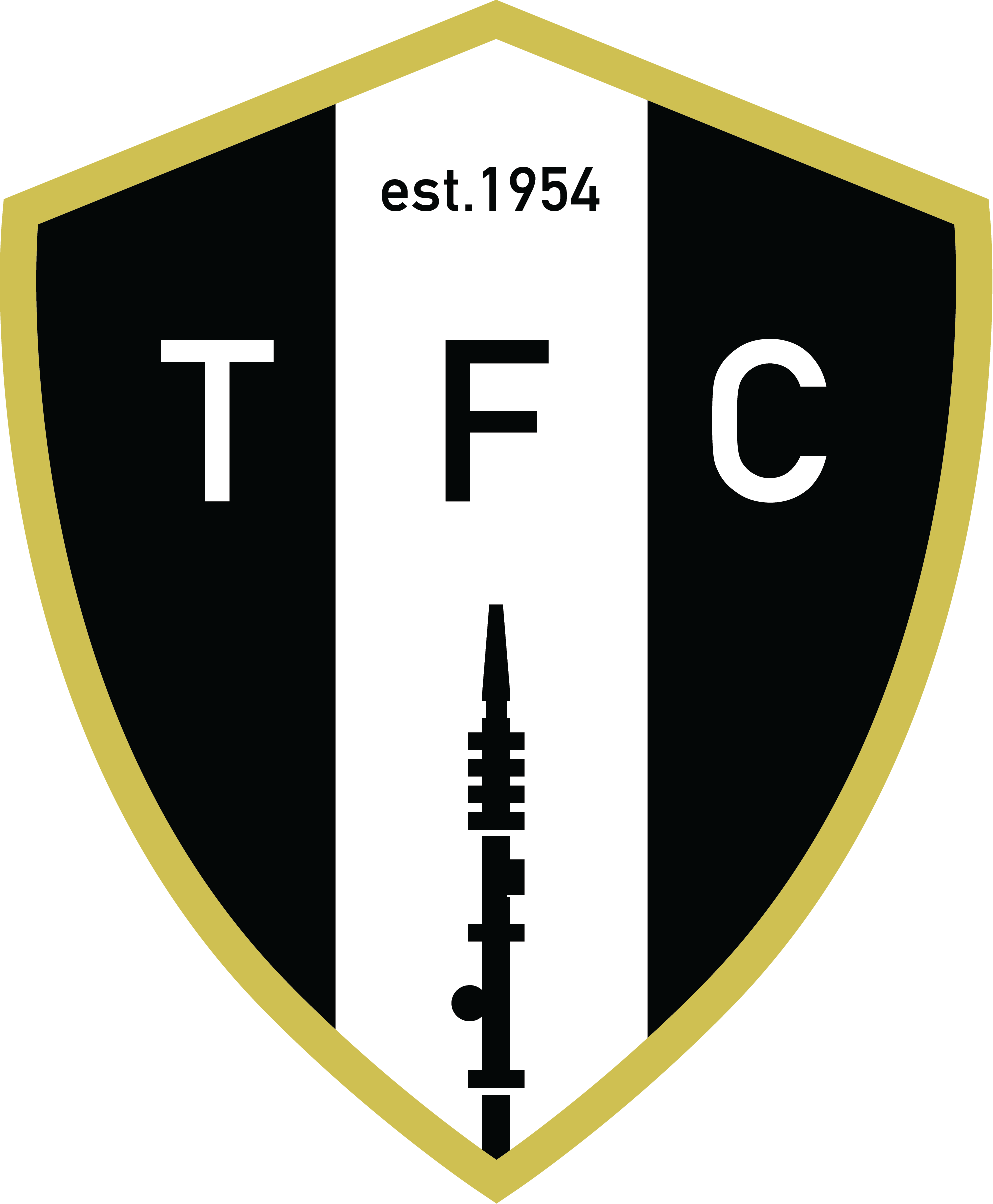 Tacolneston FC