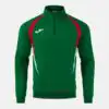 SWEATSHIRT CHAMPIONSHIP 20 GREEN RED